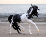 Breyer 75th Anniversary Spanish Horse