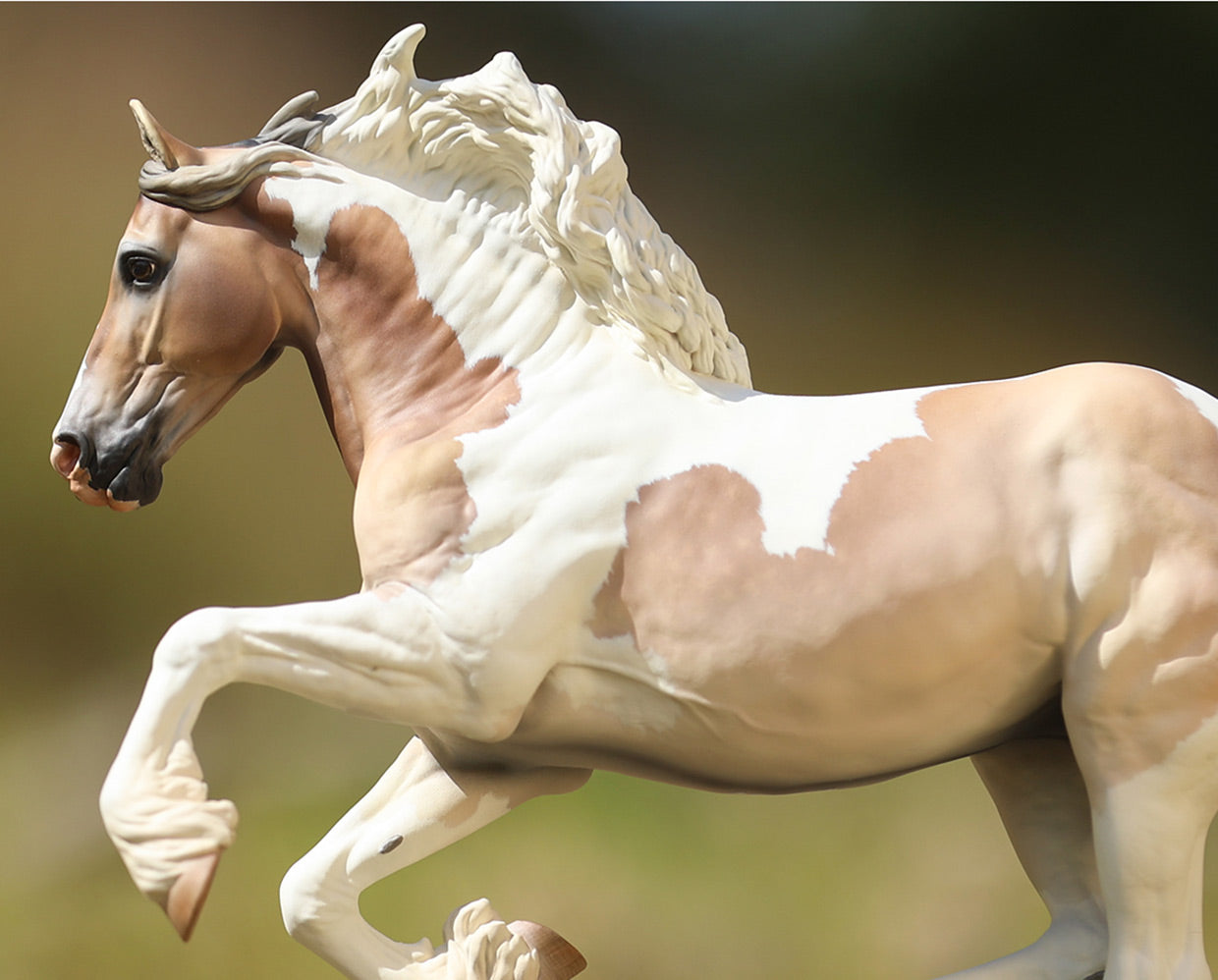 A 2026 Specialty Club Release from Breyer