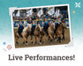 Live Horse Performances - Sunday Family 4-Pack | BreyerFest 2026 BreyerFest Ticket BreyerFest 2026 