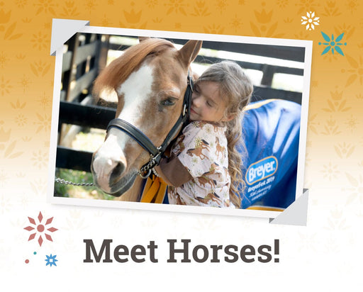 Meet Horses - Sunday Family 4-Pack | BreyerFest 2026 BreyerFest Ticket BreyerFest 202