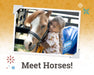 Meet Horses - Sunday Family 4-Pack | BreyerFest 2026 BreyerFest Ticket BreyerFest 202