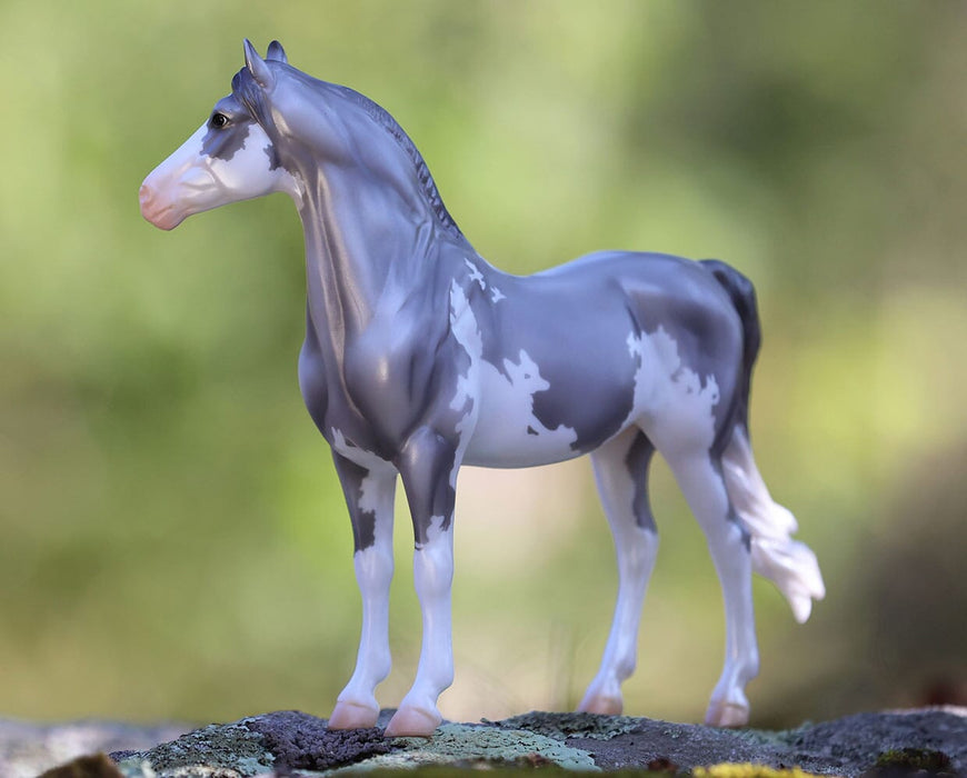 Sylvan | 2025 Freedom Series Winter Decorator on a mossy rock facing left