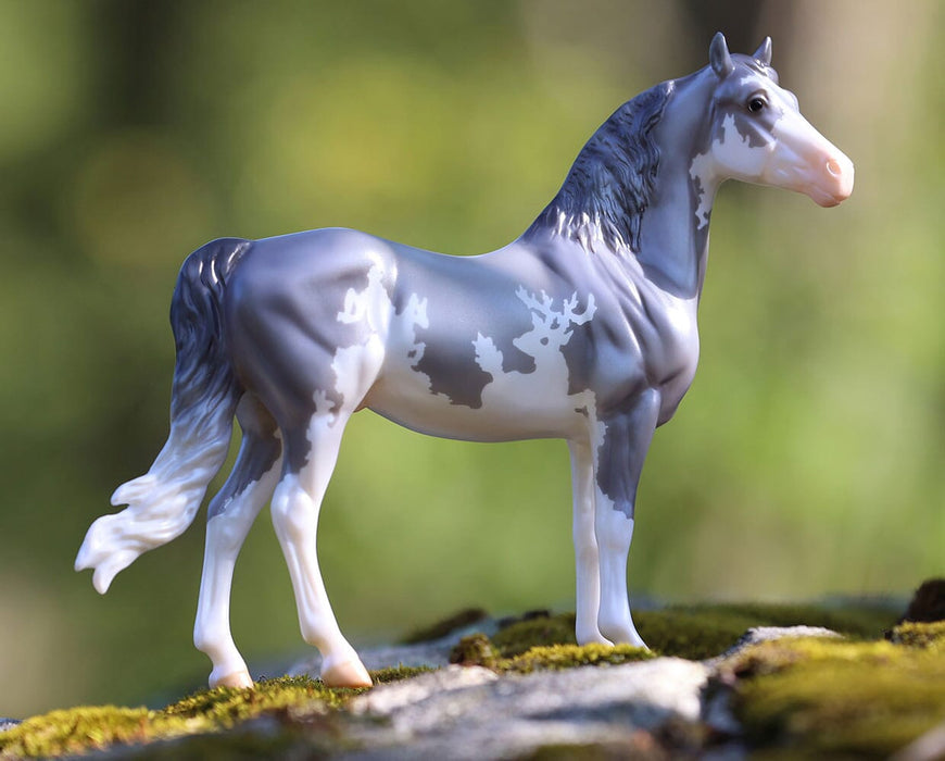 Sylvan | 2025 Freedom Series Winter Decorator on a mossy rock