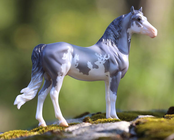 sylvan-2025-freedom-series-