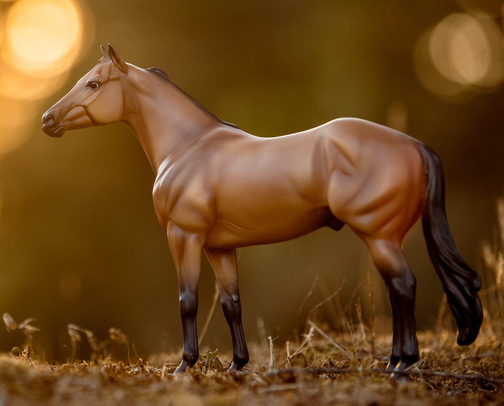 The Ideal Series | Buckskin — BreyerHorses.com