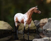 The Ideal Series | Pony of the Americas standing in water in a rocky setting