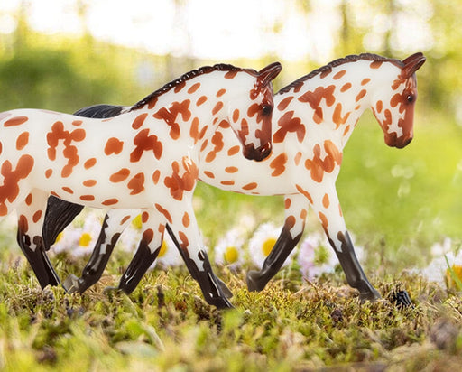 Touché Glossy and Matte models walking on grass