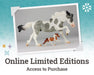 Breyer Fest 2026's Online Exclusive Limited Editions