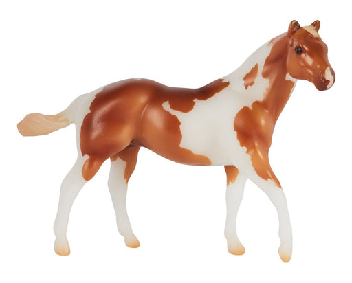 Westley - on white background facing right