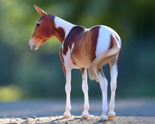 Winnifred  - The 3rd 2025 Premier Release standing on gravel outside with rear facing forward