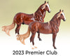 2023 Premier Collection Membership - Deposit - Glossy and Matte Versions