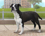 American Staffordshire Model Breyer 
