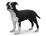American Staffordshire Model Breyer 