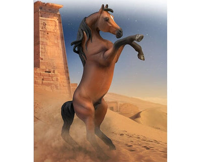 Arabian Stallion Rearing - Bay