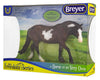 Bay Pinto Pony Model Breyer