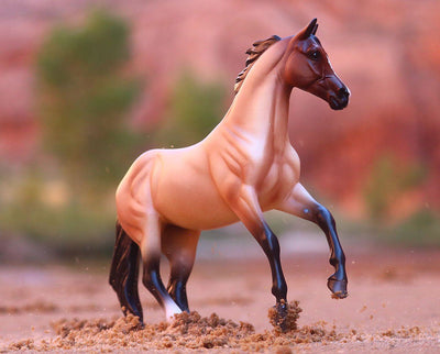 Bay Roan Australian Stock Horse Model Breyer
