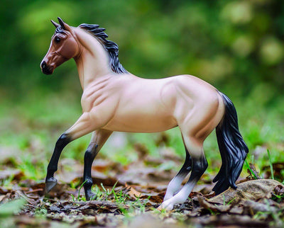 Bay Roan Australian Stock Horse Model Breyer