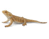 Bearded Dragon Lizard Model Breyer