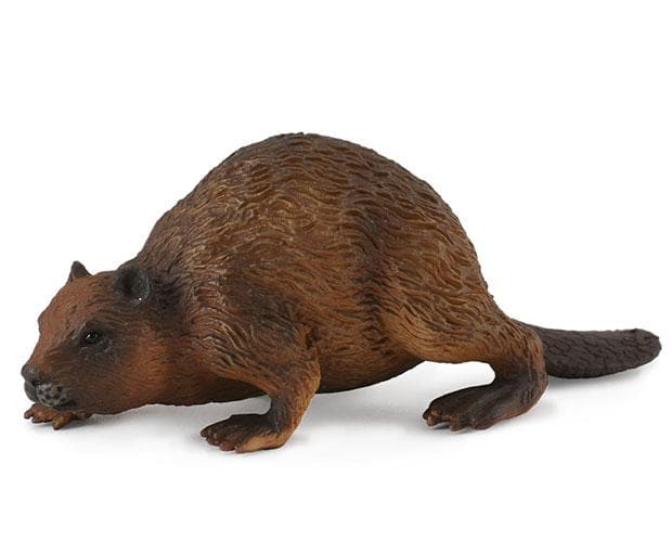 CollectA Beaver CollectA Beaver