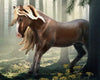 Black Forest Horse Stallion