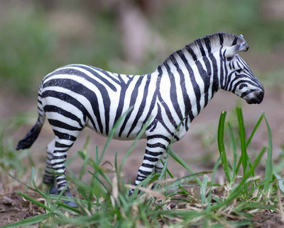 Common Zebra Model Breyer