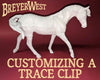 Customizing a Trace Clip Workshop  | BreyerWest 2024