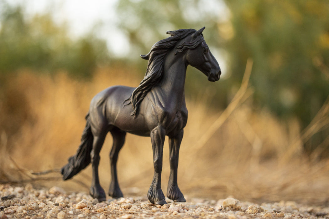 Friesian Stallion —