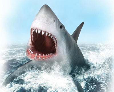 Breyer by CollectA Great White Shark Animal Figurine Model