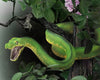 Green Tree Python Model Breyer