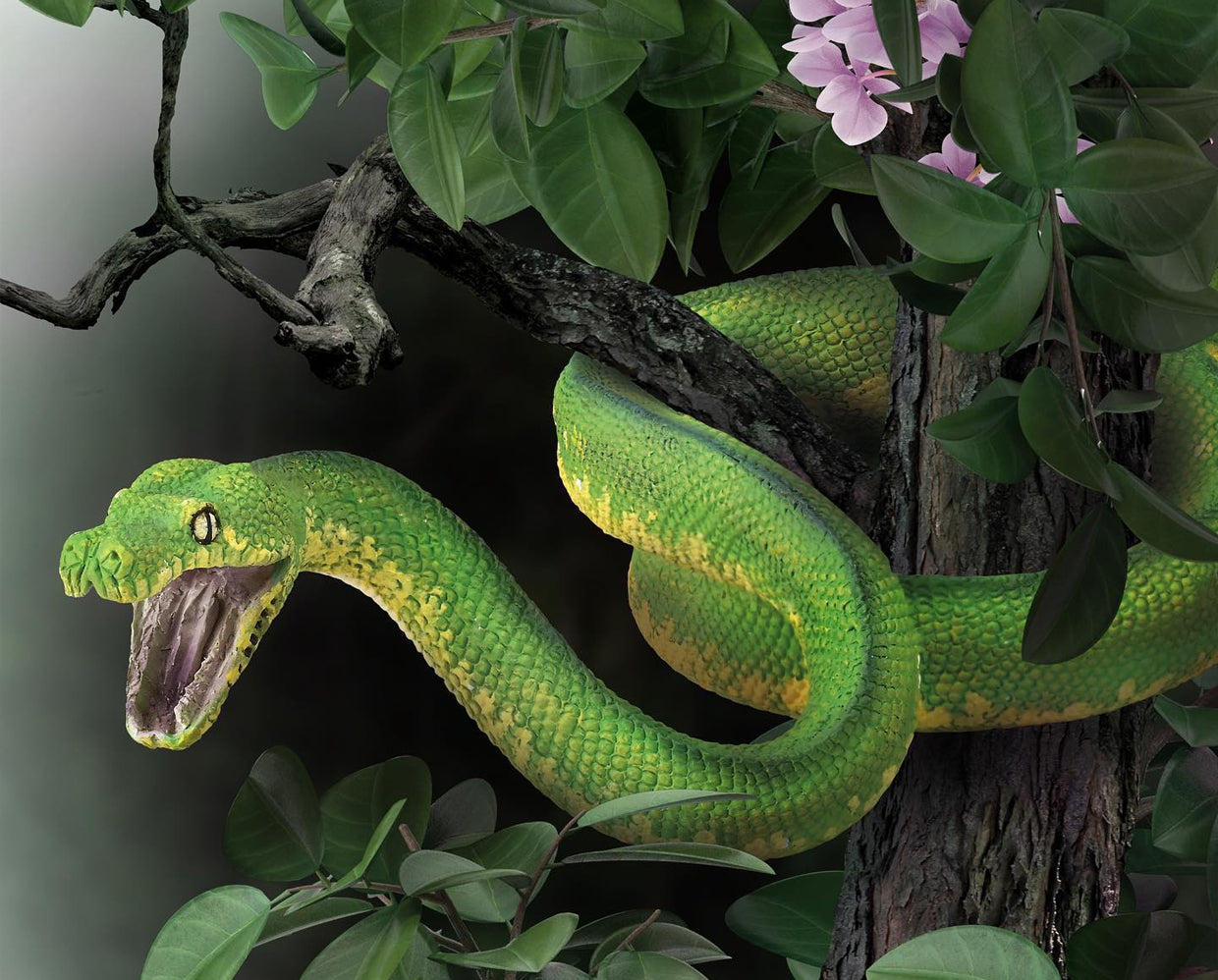 Green Tree Python 