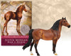 Breyer Horse Justin Morgan Had a Horse Book by Henry