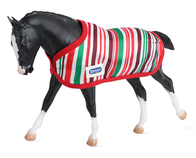 Kohl | 2022 Pony for Christmas