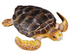 Loggerhead Turtle Model Breyer
