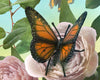 Monarch Butterfly Model Breyer