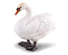 Mute Swan Model Breyer