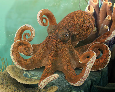 Octopus Model Breyer