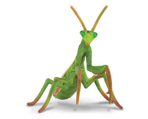 praying-mantis-model-breyer-