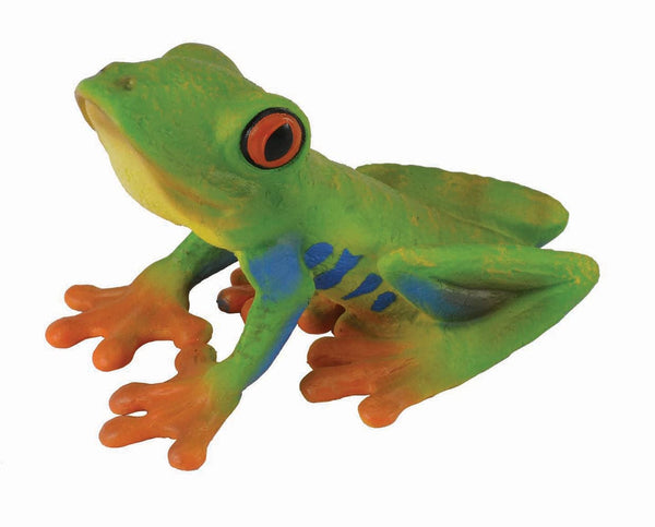 Red-Eyed Tree Frog 