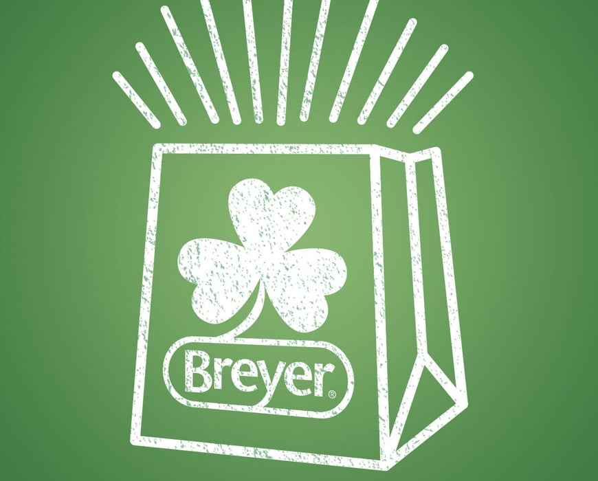 St Patrick’s Day Kids’ Grab Bag