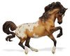 Starlet | Collector Club Warehouse Sale Exclusive! Club Model Breyer Retired