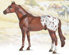 The Ideal Series - Appaloosa on background