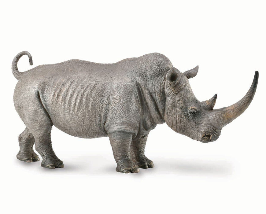 Planète Sauvage | Rhinocéros blanc du Sud Planète Sauvage | Rhinocéros blanc du Sud