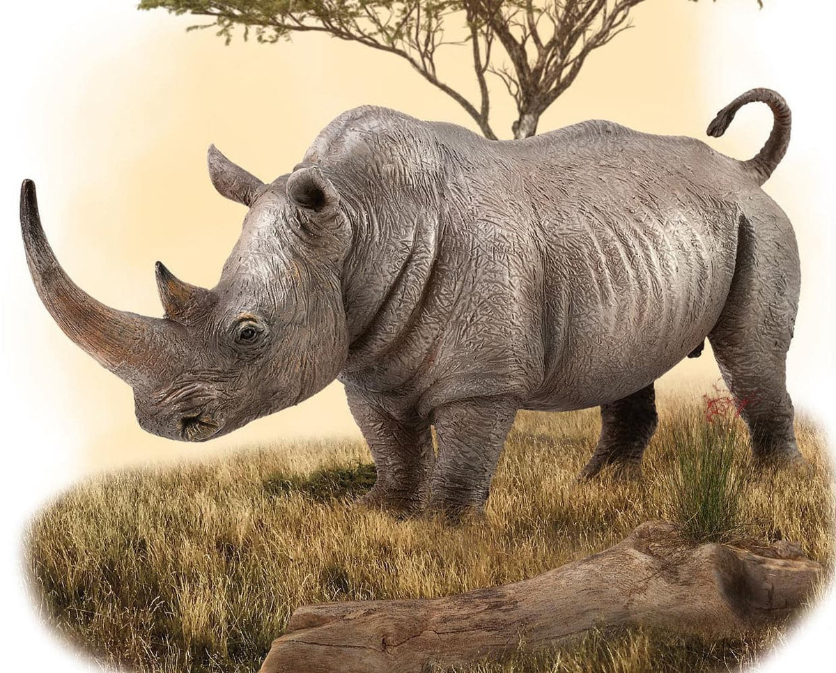 Naissance au zoo de Toronto d'un petit rhinocéros blanc, une espèce Naissance au zoo de Toronto d'un petit rhinocéros blanc, une espèce